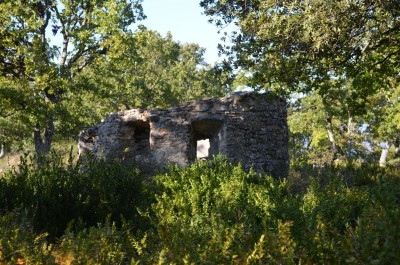 DSC_0014.jpg