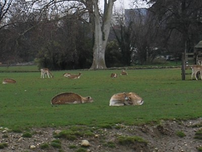 P1230001.JPG