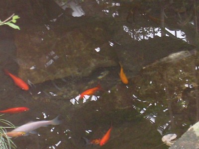 P1230002.JPG